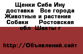 Щенки Сиба Ину доставка - Все города Животные и растения » Собаки   . Ростовская обл.,Шахты г.